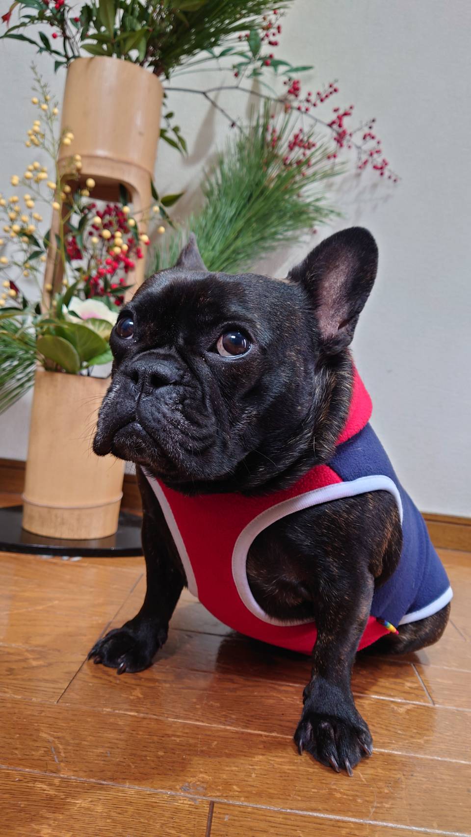 2026年 Happy new yearの画像